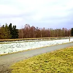 Bernsteinsee And Ferien Small Forest * Sassenburg